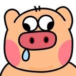 ccc ccc profile picture